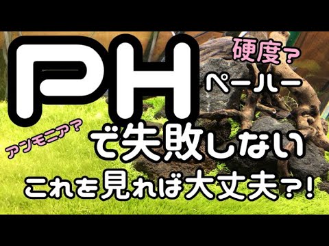 PHが高いとアンモニアが？！PHと硬度の関係性を理解して初心者でもアクアリウムを楽しめる様に解説！【楽めだか】上級者がやってる大事な事、PH急降下対策