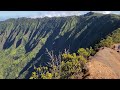 Na Pali Kona Forrest Reserve Pihea Trail #kauai #waimeacanyon