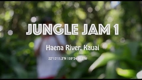 Jungle Jam 1 (Haena River, Kauai) [Music Video] - SOND3R