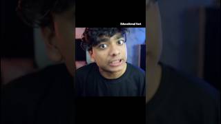The Dark Truth About Momos! 😱