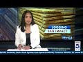 Hardwood Shortage Disrupts Belize Construction Sector