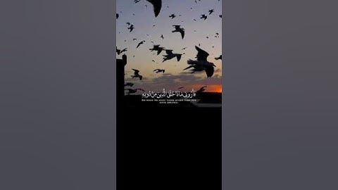 القرآن الكريم صوت جميل Holy Quran verses with a beautiful voice #حالات_واتس_اب #قراء_القرآن_الكريم 💙