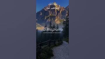 وَاصْبِرْ وَمَا صَبْرُكَ إِلَّا بِاللَّه_ تلاوة من سورةالنحل _ الشيخ فارس عباد