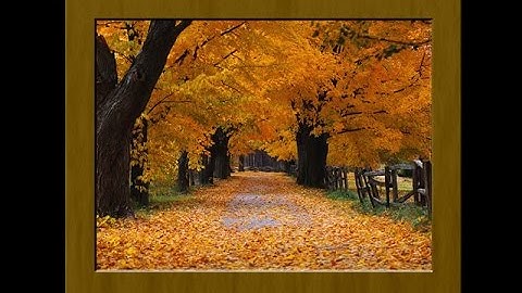 Photoshop tutorials |How to create photo frame in Photoshop easily (1)