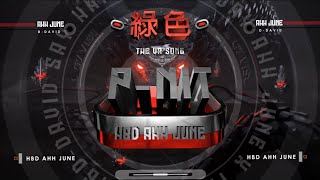 绿色 Remix 2024 ( HBD To Ah June ) - P-NIT🔥 🦠The VR Song🦠