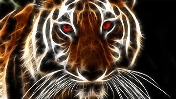 Photo manipulation Glowing Animals light effect  | Fractalius Filter
