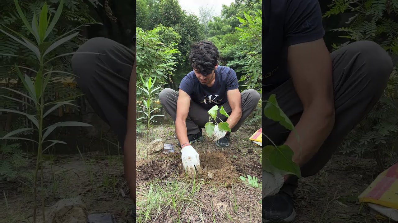 10 Lakh Trees. One Name. One Future