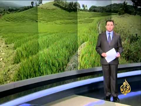 نشرة اقتصاد المنتصف 20/10/2012