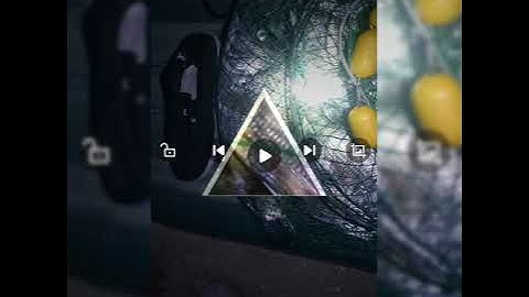 Câu cá hạ long - p11