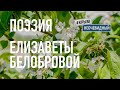 #КрымНеОчевидный: Тебе Крым. Поэзия Елизаветы Белобровой - Сборник стихов. Поэзия Крыма