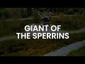 Ceoldan - The Stargazer Giant of Davagh - Aerial Stock Footage - #4K #60FPS