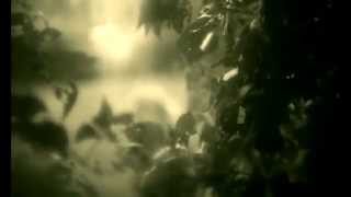 Patrick Star does NOT want to talk to Adele