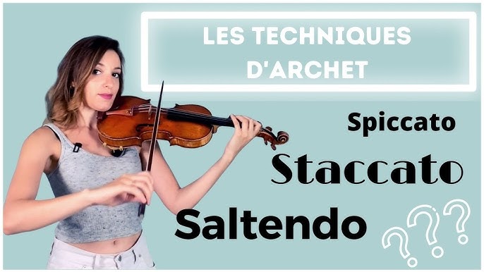 Quel archet choisir pour un violon, alto ou violoncelle ? - 3Dvarius