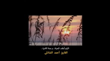 ||إدفع بالتي أحسن السيئة نحن أعلم بما يصفون||اللهم نسألك لطف الحياة وجنة الآخرة||القارئ أحمد الشاذلي