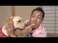 まさはる君　微妙な位置に座る理由_[tv175] 【ポチたま公式】