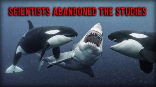 Why The Ocean’s Deadliest Monster Refuses To Hurt Us