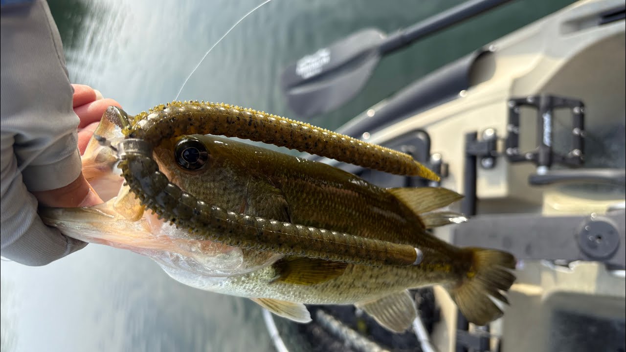 Wisconsin Bass fishing! (Waupaca)