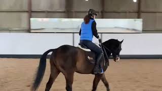 Ad ref 243497   Video 1