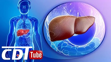 Những cách thải độc gan hiệu quả mà không cần dùng thuốc | CDT NEWS