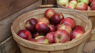 Apple Harvest Festival 2017