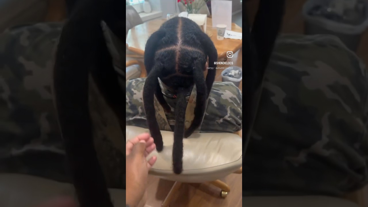 Локтицианцы, которые путешествуют! 😎 