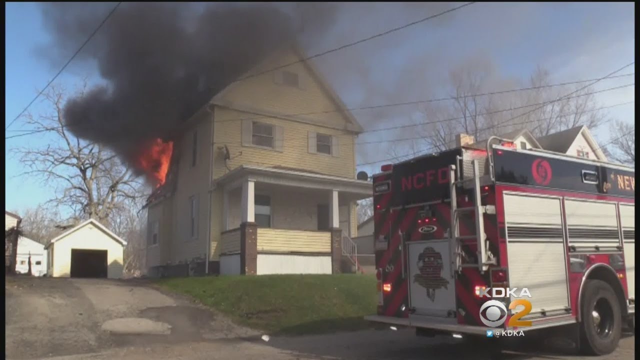 Good Samaritan Saves Dogs From House Fire