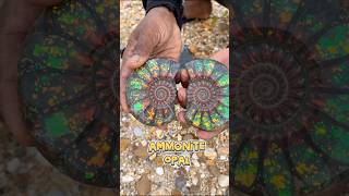 Amazing Discovery! Fossil Ammonite with Stunning Green Opal Patterns #AmmoniteFossil #GreenOpal #AI Amazing Discovery! Fossil Ammonite with Stunning Green Opal Patterns #AmmoniteFossil #GreenOpal #AI