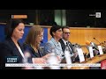 💰 €200 млн на дэмсілы Беларусі! Куды пайшлі грошы? / МАЖЭЙКА, "Белсат"