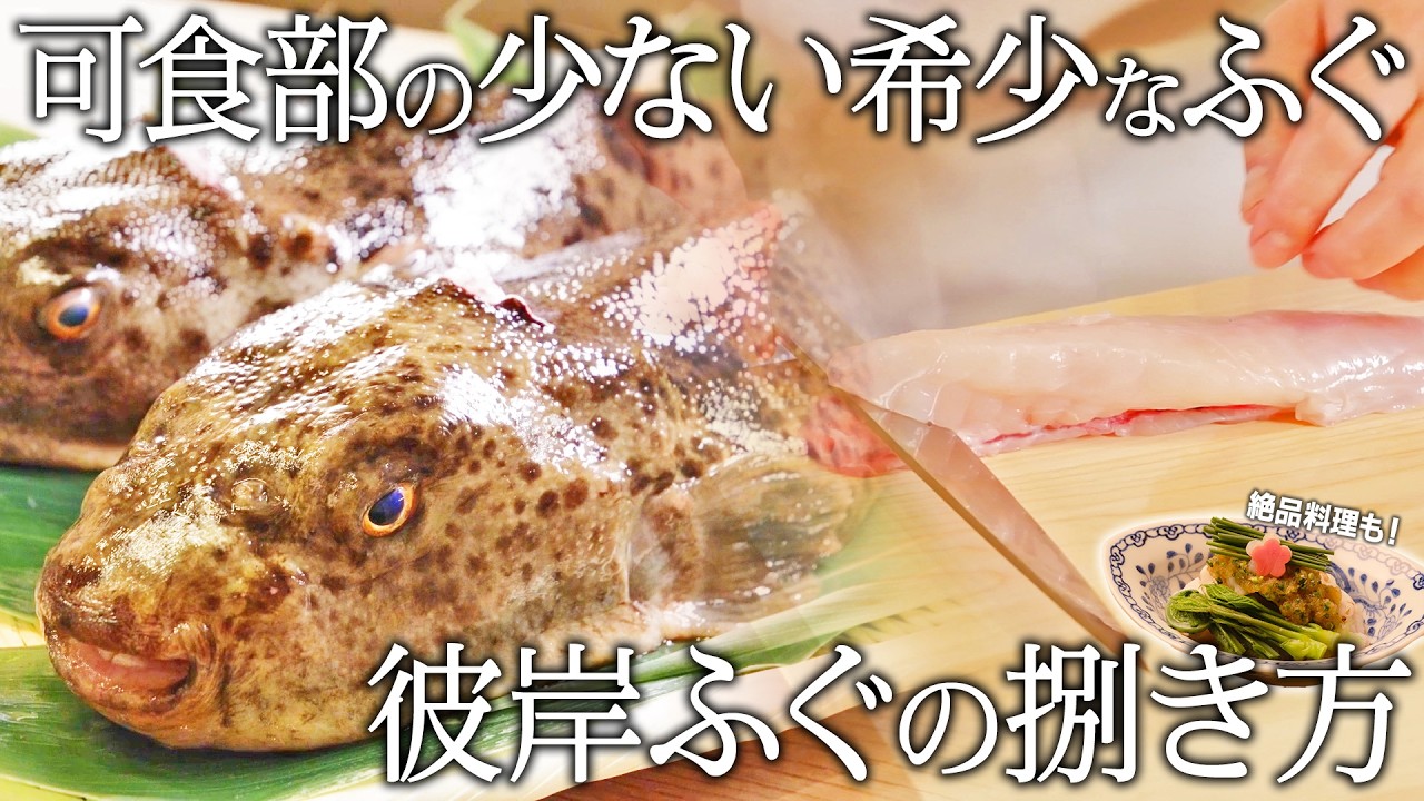 Japanese Cooking Techniques] Springtime Pufferfish Dishes ~From