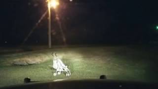 Protect and Serve