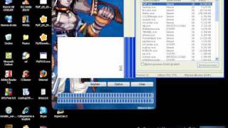 Eclypse Flyff Problem