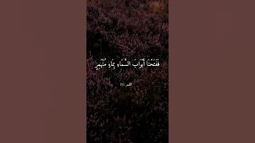 ف د ع ا ر ب ه أ ن ي م غ ل وب ف ان ت ص ر القارئ عبد الباسط 