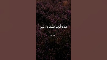 (فَدَعَا رَبَّهُ أَنِّي مَغْلُوبٌ فَانْتَصِرْ) القارئ عبد الباسط