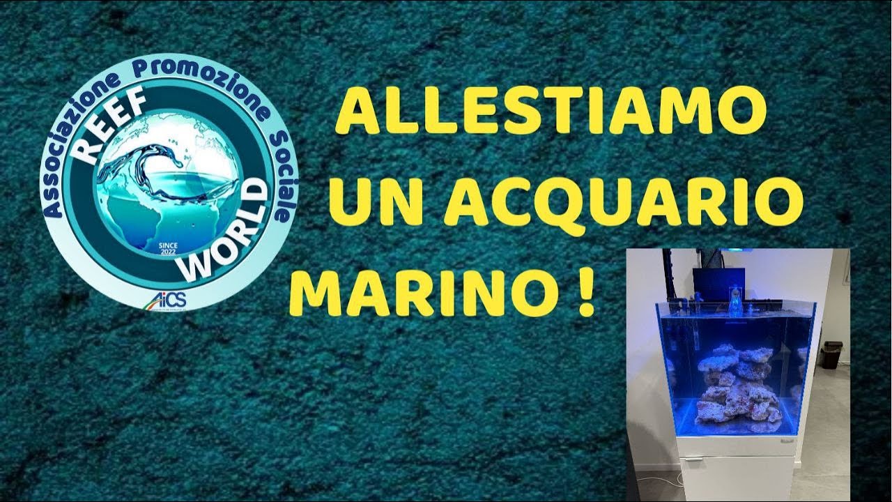 Allestiamo un acquario marino con Alberto Boffo by Reef-World