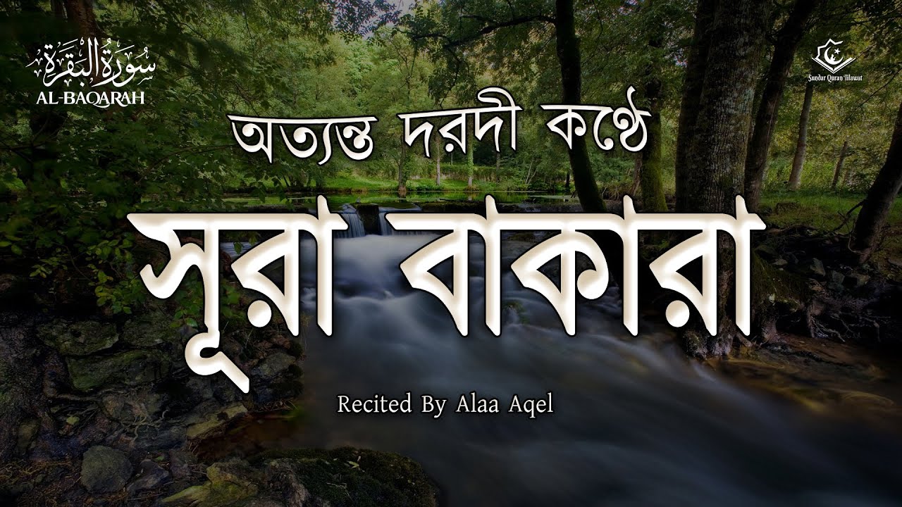 অত্যন্ত দরদী  সূরা বাকারা তিলাওয়াত । Surah Al-Baqarah (سورة البقرة) Quran tilawat Beautiful Voice