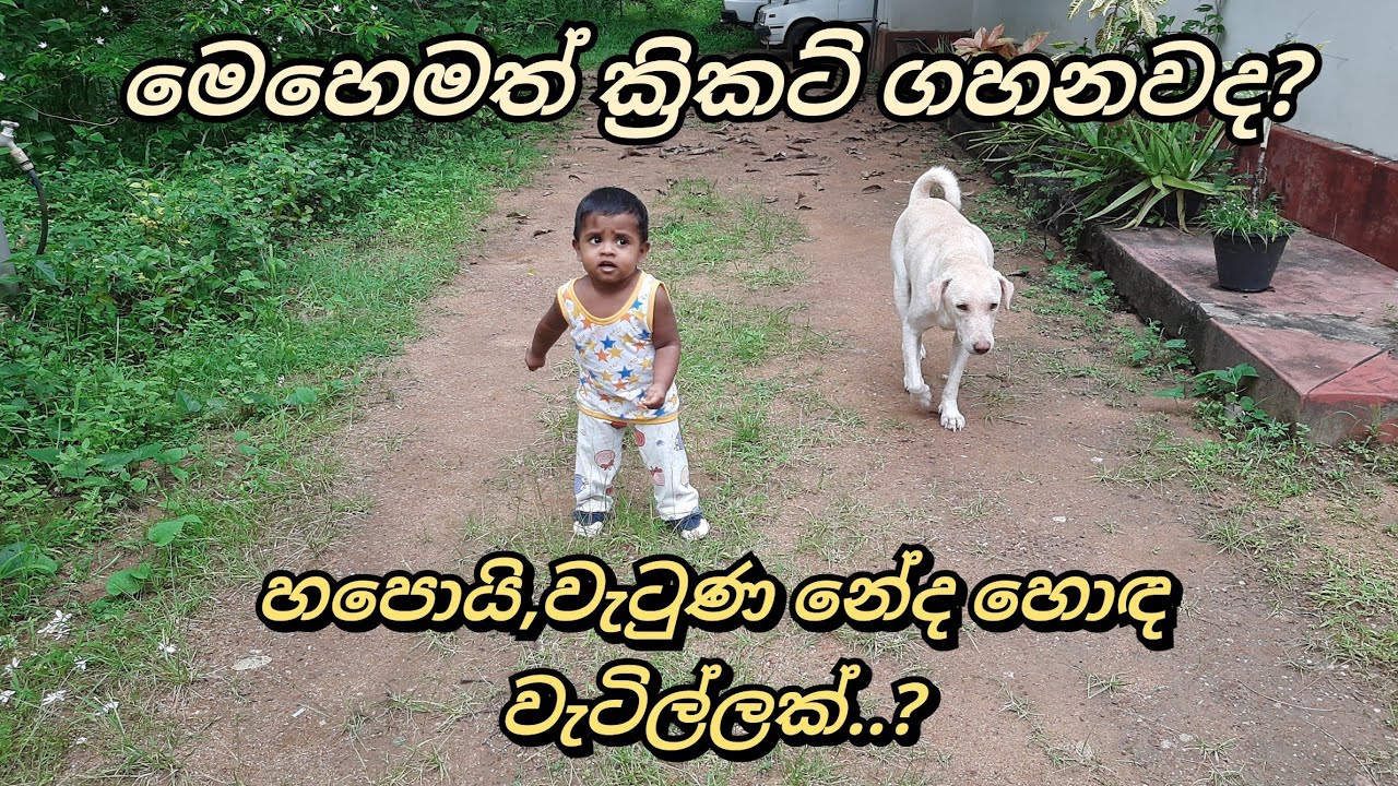 හපොයි ,වැටුණ නේද හොඳ වැටිල්ලක්? | Nekii with Sadam
