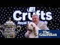 Crufts 2026: Meet Bruin, the Clumber Spaniel Who Won Best in Show!