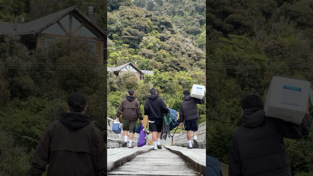 JACKSON BAY WEST COAST 