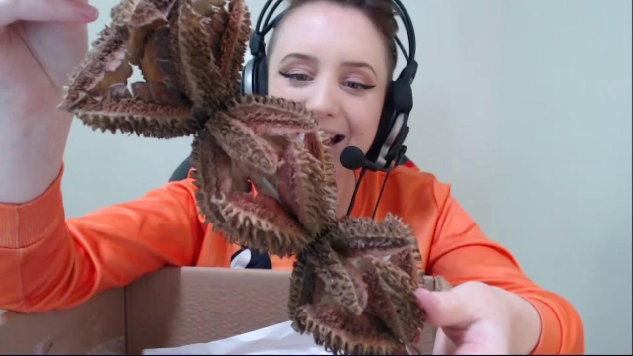 Unboxing Parrot Toys