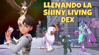 🔴 ✨Completando la ShinyDex de Legendas ZA!!!