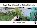 How to grow epiphyllum from cuttings with results the complete guide