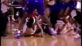 Celebrity Detroit Shock-Los Angeles Sparks WNBA fight Profile