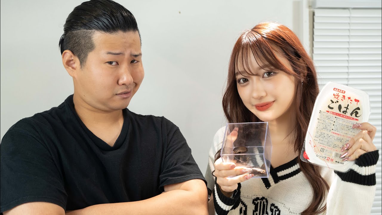 【白川れなコラボ】虫嫌いなメスガキにスパルタ昆虫料理教室