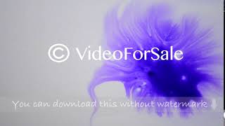 Beautiful Spreading Purple Ink Drops
