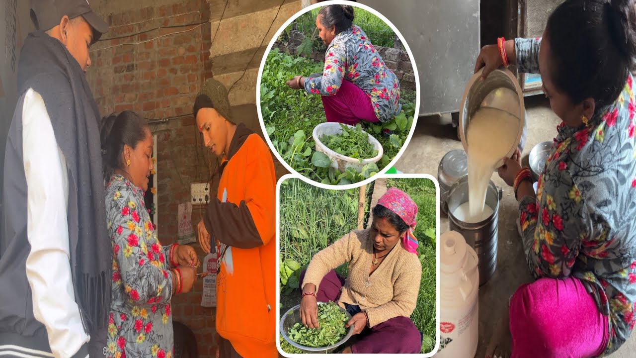 // Monu or golu gye punjab // mummy or chachi ne di bahot sari sabjiya // #Riyaruhivlog //