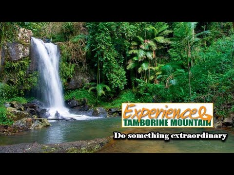 Experience Tamborine Mountain