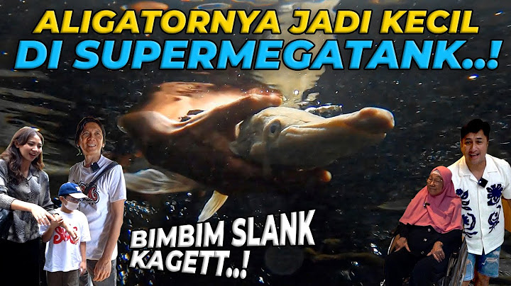 SI POTLOT IKAN ALIGATOR BUNDA IFFET DAN BIMBIM SLANK MASUK SUPER MEGATANK..!