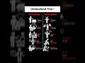 Rich Mindset vs Poor Mindset Of People || #shorts #motivation #mindset #richmindset #poormindset