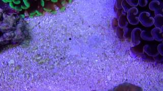 Reefers bay 2 13