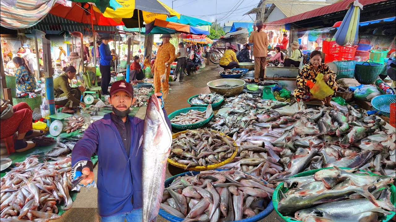 ផ្សារពន្លៃ ថ្ងៃនេះសំបូរត្រីជាងម្សិលមិញ ពិសេសត្រីធំៗ... || TAT SOKKΕΑ - ΚΗ [Ep. 970]